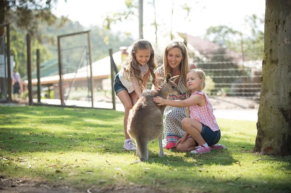 ****  Sea World Resort Main Beach Australien