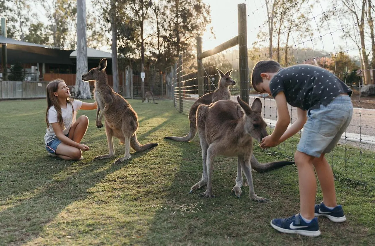 Sea World Resort Main Beach 4*,  Australie