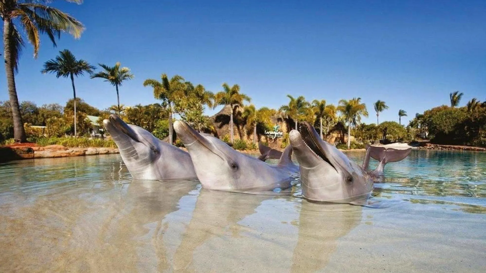 Sea World Resort Main Beach